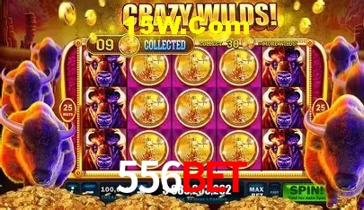 Ofertas Exclusivas 556Bet